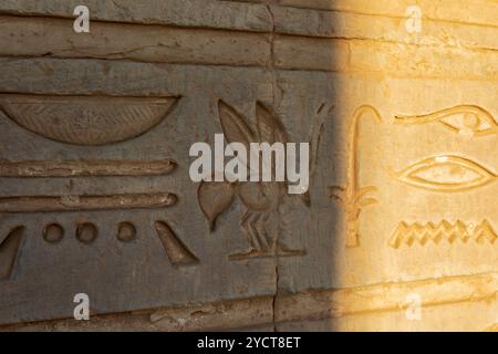 Kom Ombo, Egitto; 17 gennaio 2024: Il misterioso mondo di Sobek, il dio dalla testa di coccodrillo, attraverso gli intricati geroglifici che adornano le pareti di Foto Stock