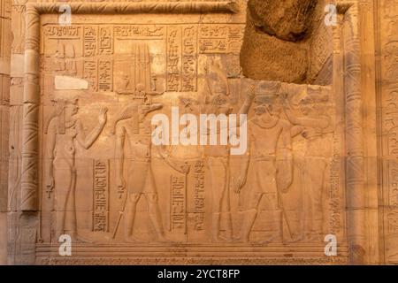 Kom Ombo, Egitto; 17 gennaio 2024: I geroglifici che coprono le pareti del tempio di Kom Ombo, dedicato al dio coccodrillo Sobek. Questi intricati Foto Stock