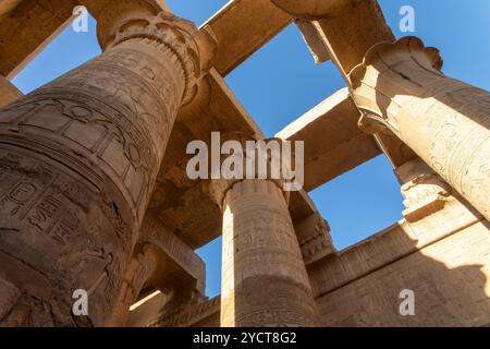 Kom Ombo, Egitto; 17 gennaio 2024: Le imponenti colonne a guardia del tempio dedicato a Sobek, il dio coccodrillo. Queste colonne di pietra, adornate con h Foto Stock