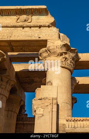 Kom Ombo, Egitto; 17 gennaio 2024: I pilastri che hanno custodito il tempio di Sobek per secoli. Queste strutture durevoli, scolpite in pietra solida, Foto Stock