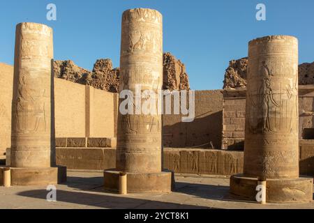 Kom Ombo, Egitto; 17 gennaio 2024: L'ingegneria e l'arte dietro gli immensi pilastri che sostengono il tempio dedicato a Sobek, il coccodrillo g Foto Stock