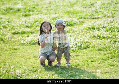 Sorella e fratello che soffiano il dente di leone Foto Stock