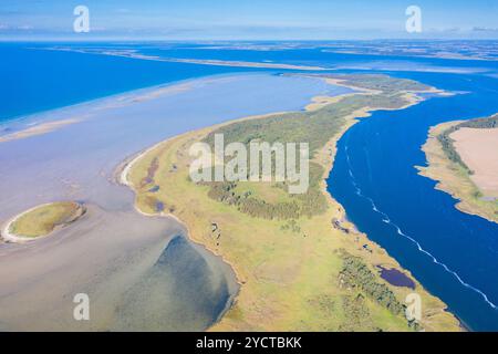 Veduta dell'isola di Bock, Parco Nazionale dell'area della laguna della Pomerania Occidentale, Meclemburgo-Pomerania Occidentale, Germania Foto Stock