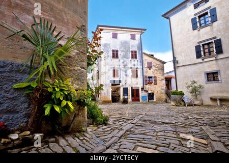 Vecchia Piazza in ciottoli di Groznjan village, regione dell'Istria, Croazia Foto Stock