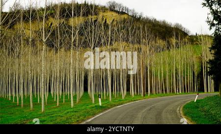 Paesaggio primaverile e fioritura dell'Appennino emiliano-romagnolo, Italia Foto Stock