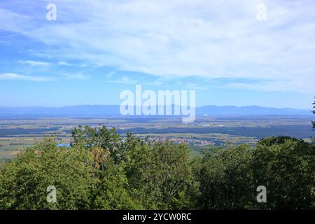 Vista aerea della valle dei frutti dell'Alsazia vicino a Colmar in Francia Foto Stock