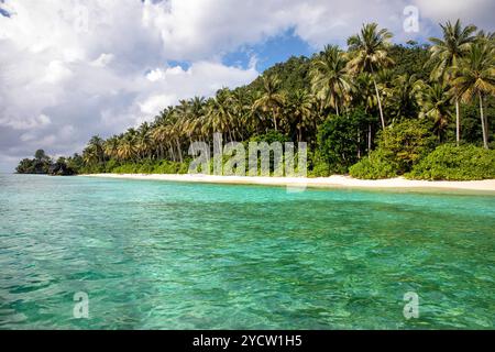 Una splendida spiaggia tropicale vuota con sabbia bianca, acqua cristallina e fitte palme della giungla. Isole Labenki, Sulawesi, Indonesia, Asia Foto Stock
