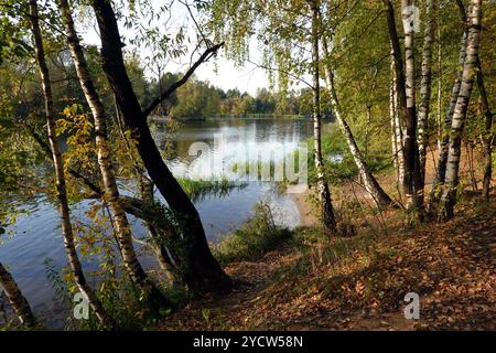Paesaggio di campagna con foresta vicino alle calme acque del lago in autunno Foto Stock