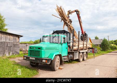 Troncare il manipolatore idraulico di legno scaricato dal dumper durante il giorno estivo Foto Stock