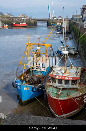 Pescherecci da traino in banchina del porto con la bassa marea Maryport Cumbria Inghilterra Regno Unito Gran Bretagna Gran Bretagna Foto Stock