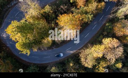 Guida in auto su una strada di montagna circondata dalla foresta autunnale. Fotografia aerea. Foto Stock