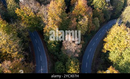 Un'affascinante prospettiva aerea di una strada tortuosa che attraversa una lussureggiante foresta in piena fioritura autunnale. Foto Stock