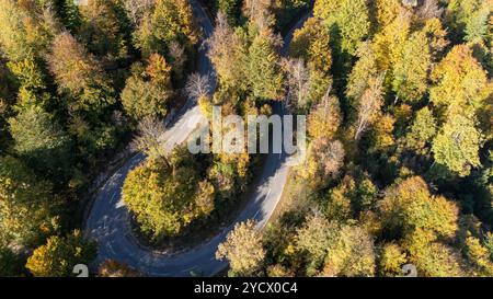 Strada di montagna curva AEREA tra gli alberi della stagione autunnale dall'alto Foto Stock