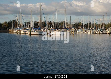 Vista dal parco giochi Albert Whitted nel bacino sud degli yacht a St. Petersburg, Florida. Verso il porticciolo e le barche attraccate. Alberi e vele contro un cielo blu. Foto Stock