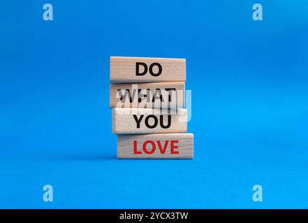 Simbolo fai quello che ami. Parole concettuali Do What You Love su blocchi di legno. Bellissimo sfondo blu. Business and Do What You Love. Copia spazio Foto Stock