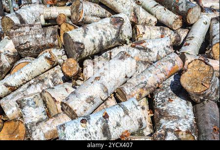 Tritato e impilate a secco di legna da ardere come sfondo Foto Stock