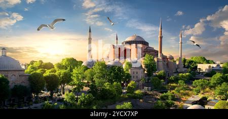 Hagia Sophia al tramonto Foto Stock