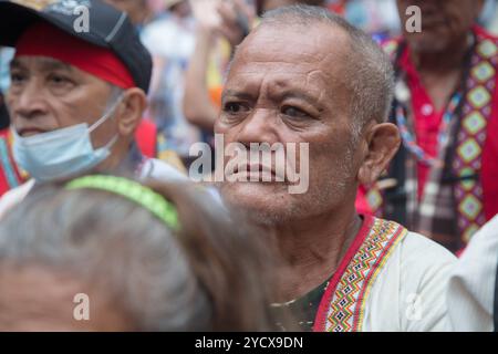 Il popolo indigeno e i residenti di Taiwan, organizzati dal KMT, hanno tenuto una manifestazione a Taipei il 24 ottobre 2024, per protestare contro la negligenza del Partito Progressista Democratico al governo dei loro diritti. Copyright: XJameson WUX Foto Stock