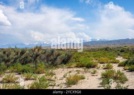 Paesaggi del Kirghizistan con montagne all'orizzonte Foto Stock