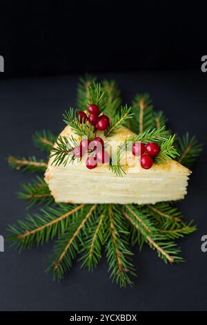 Un pezzo di torta decorato con alberi e frutti di bosco su sfondo nero Foto Stock