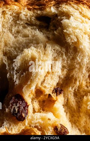 Questa immagine mostra da vicino l'intricata trama di un tradizionale panettone natalizio, mettendo in risalto le sue morbide e ariose briciole e l'uva passa incorporata. Foto Stock