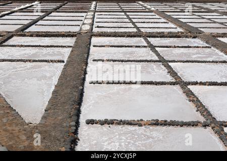 Un'immagine aerea che mostra le tradizionali saline, definite da bordi di pietra, riempite di acqua salata cristallina, questa foto cattura l'intricato giacimento Foto Stock