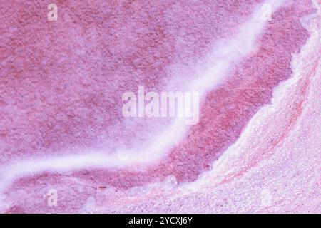 Immagine dettagliata che mostra la consistenza e il colore dei depositi di sale rosa, sottolineando il processo di cristallizzazione naturale utilizzato nella produzione del sale Foto Stock