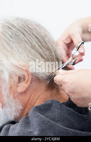 Primo piano di un parrucchiere che taglia i lunghi capelli grigi di un uomo anziano, preparandoli per la donazione per fare parrucche per i malati di cancro Foto Stock