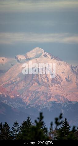 Vista mozzafiato del Monte bianco innevato, bagnato dal caldo bagliore dell'alba, visto dal col de la Faucille nel Giura francese. Foto Stock