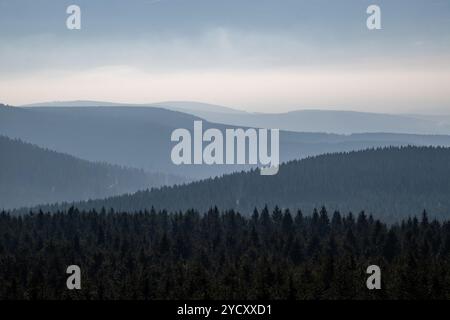 Vista dalla torre di osservazione Velka Destna sulla vetta più alta delle Orlicke Mountains, 1115 m sopra il livello del mare, si trova 3 km a est di Destne nell'Orlicke Foto Stock