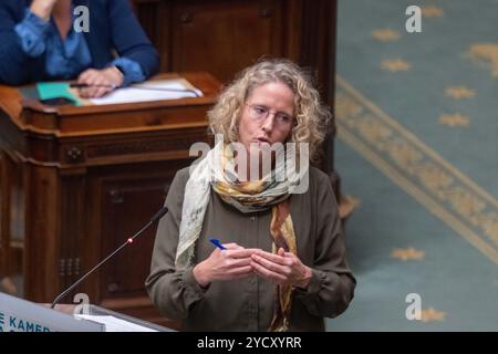 Bruxelles, Belgio. 24 ottobre 2024. Il saluto del PTB Daems è raffigurato durante una sessione plenaria della camera presso il parlamento federale, a Bruxelles, giovedì 24 ottobre 2024. BELGA FOTO JONAS ROOSENS credito: Belga News Agency/Alamy Live News Foto Stock