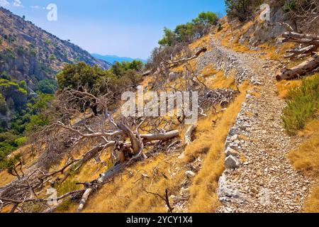 Stone desert trail vicino Pustinja Blaca hermitage sull'isola di Brac Foto Stock