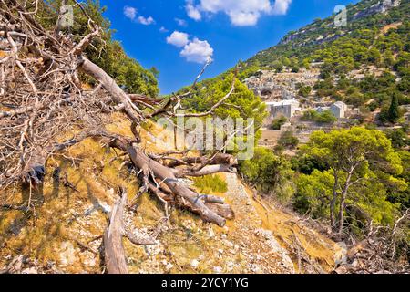 Stone desert trail vicino Pustinja Blaca hermitage sull'isola di Brac Foto Stock