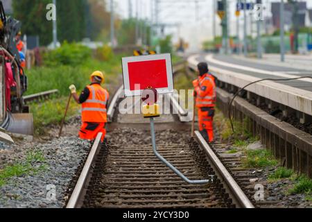 Gernsheim, Germania. 24 ottobre 2024. Sono in corso lavori di costruzione dei binari presso la stazione di Gernsheim della Riedbahn. Deutsche Bahn sta effettuando una revisione generale della linea Riedbahn tra Francoforte sul meno e Mannheim. Una volta collegate tutte le scatole di segnalazione elettroniche (ESTW), i punti e i segnali dovrebbero poter essere azionati in modo affidabile con un semplice clic del mouse da metà dicembre. Crediti: Andreas Arnold/dpa/Alamy Live News Foto Stock