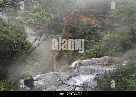 Scorre sopra la sporgenza a Wentworth Falls Foto Stock