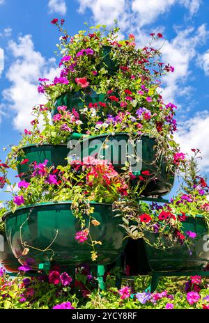 Grandi vasi con fiori decorativi contro il cielo blu nella giornata di sole Foto Stock