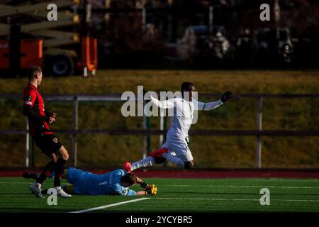 Reykjavik, Islanda. 24 ottobre 2024. Il giocatore di Cercle è stato raffigurato in azione durante una partita di calcio tra l'islandese Vikingur Reykjavik e il belga Cercle Brugge KSV, giovedì 24 ottobre 2024, a Reykjavik, Islanda, il secondo giorno della fase a gironi del torneo UEFA Conference League. BELGA PHOTO ARNI TORFASON credito: Belga News Agency/Alamy Live News Foto Stock