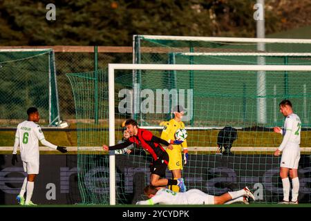 Reykjavik, Islanda. 24 ottobre 2024. Gunnar Vatnhamar di Vikingur celebra dopo aver segnato durante una partita di calcio tra l'islandese Vikingur Reykjavik e il belga Cercle Brugge KSV, giovedì 24 ottobre 2024, a Reykjavik, Islanda, il secondo giorno della fase a gironi del torneo UEFA Conference League. BELGA PHOTO ARNI TORFASON credito: Belga News Agency/Alamy Live News Foto Stock