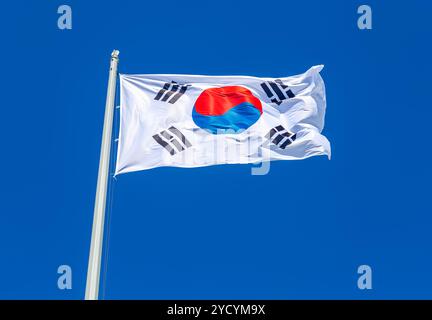 Bandiera della Corea del Sud che vola nel vento contro il cielo Foto Stock