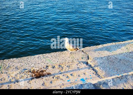 Bellissimi panorami di Nessebar. La Bulgaria-sole, mare, spiaggia Foto Stock