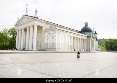 Vista della cattedrale della Basilica di San Stanislao e San Vladislav. Vilnius, Lituania Foto Stock