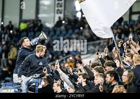 Gent, Belgio. 24 ottobre 2024. I tifosi di Gent nella foto durante una partita di calcio tra il belga KAA Gent e il norvegese Molde FK, giovedì 24 ottobre 2024, a Gent, il secondo giorno della fase a gironi del torneo UEFA Conference League. BELGA PHOTO TOM GOYVAERTS credito: Belga News Agency/Alamy Live News Foto Stock