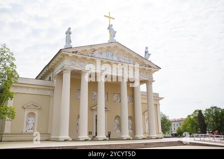 Vista della cattedrale della Basilica di San Stanislao e San Vladislav. Vilnius, Lituania Foto Stock