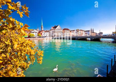 Vista autunnale sulle rive di Zurigo Foto Stock