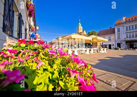 Vista sulla piazza principale di Samobor, fiori colorati e architettura Foto Stock