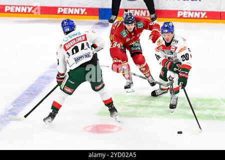 Eishockey DEL - 24/25 - 12. Spieltag: Düsseldorfer EG vs Augsburger Panther am 24.10.2024 im PSD Bank Dome a Düsseldorf Düsseldorfs Tyler Angle (Nr.94) gegen Augsburgs Andrei Hakulinen (Nr.94) und Augsburgs Cody Kunyk (Nr.20) foto: Osnapix Foto Stock