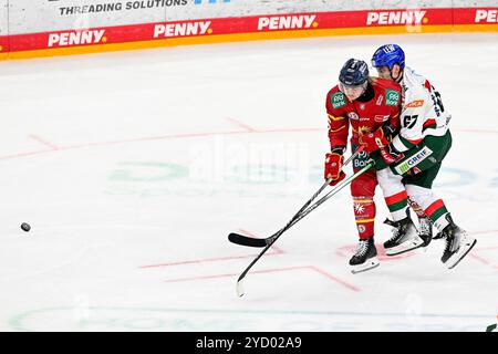 Eishockey DEL - 24/25 - 12. Spieltag: Düsseldorfer EG vs Augsburger Panther am 24.10.2024 im PSD Bank Dome a Düsseldorf Düsseldorfs Drake Rymsha (Nr.86) lässt Augsburgs Florian Elias (Nr.67) auflaufen foto: Osnapix Foto Stock