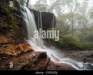 Nebbia e nebbia a Weeping Rock Wentworth Falls Foto Stock