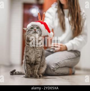 Il gatto che indossa un cappello di Babbo Natale si siede davanti a una ragazza, catturando la gioia delle feste. Foto Stock
