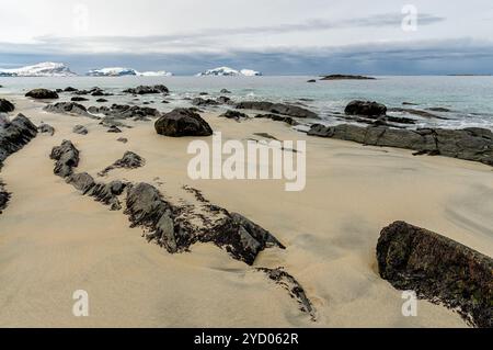 L'immagine mostra una spiaggia sabbiosa con alcune rocce e alghe sparse sulla superficie. Foto Stock